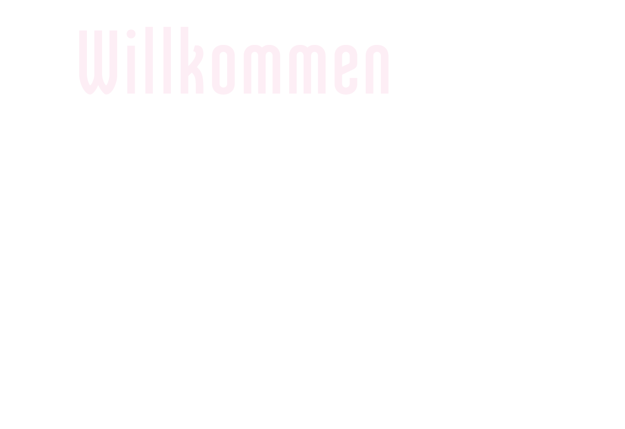Willkommen zum sinnlichen Altstadt-Rundgang im Advent
